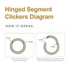 Clicker Segmentado con Bisagra de Doble Fila con Garra de CZ...