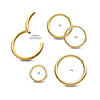 Aro con Bisagra Segmentado de Titanio PVD en Oro de 24Kt
