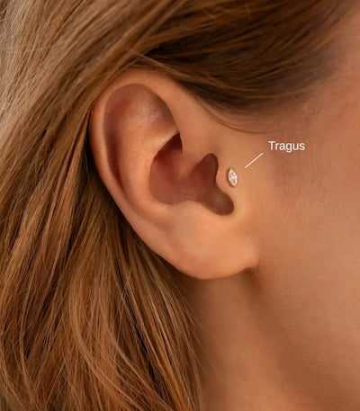 Tragus
